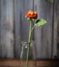 Orange Rose Crochet Bookmark  - Image 3
