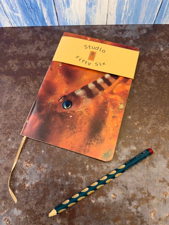 Notebook, Marine themed, A5 (ish), made from up-cycled and recycled materials.