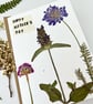 Handmade Mother's Day Card, Real Pressed Flowers - Image 3