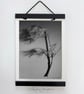 Fine Art Photograph Pine Branch - A4 - Choice of Four Colours - Image 3