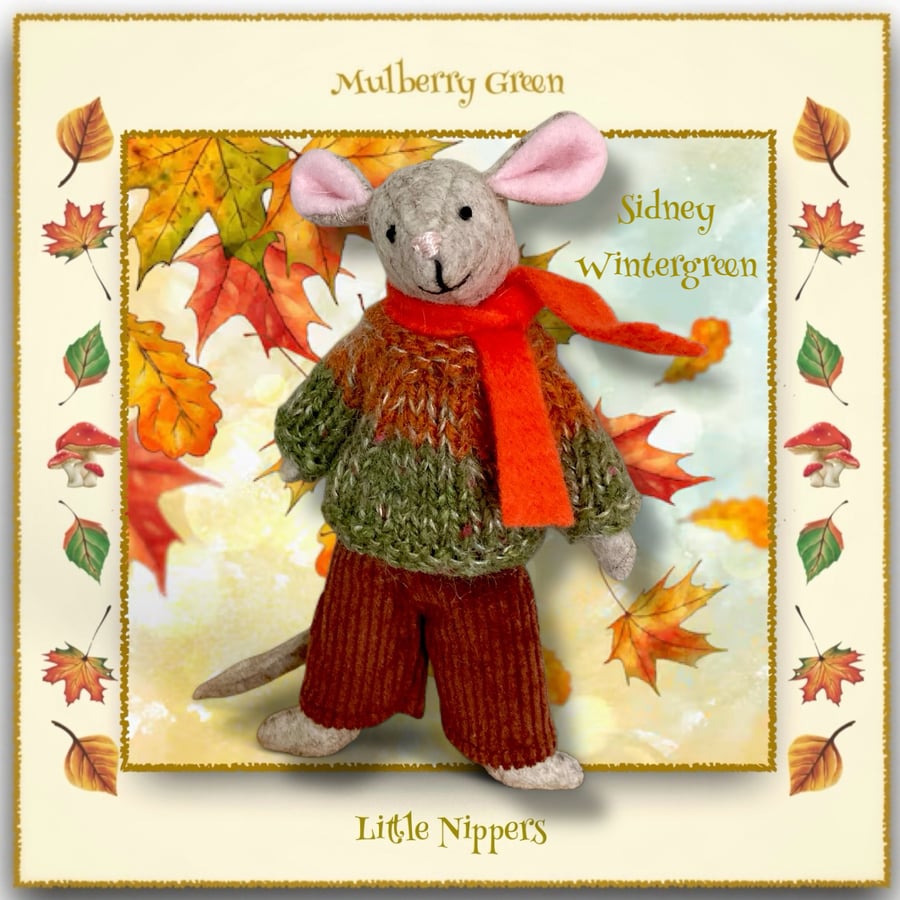 Sidney Wintergreen - a Little Nipper from Mulberry Green 