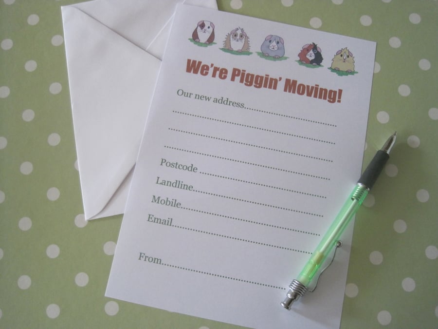 Guinea Pig New Address Folksy