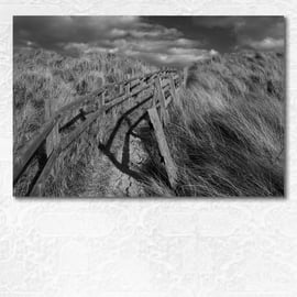 Path through the dunes