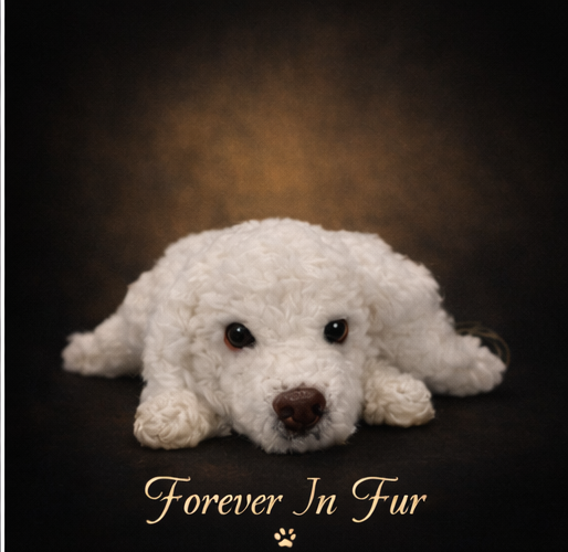 Custom Sleeping Dog Replica – Handmade Needle Felted Pet Keepsake – Peaceful Pet