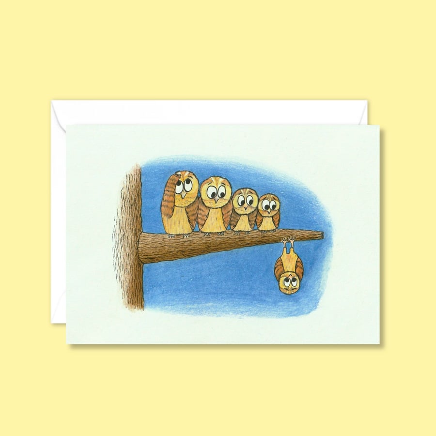 Night Owls Greetings Card: Illustrated Birthday Card for an Animal Lover (206)
