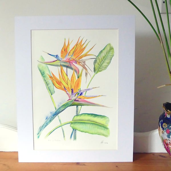 Bird of Paradise Flower Botanical Tropical Plant Watercolour Painting 