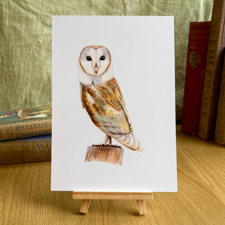Barn Owl - Art Print A5 or A4