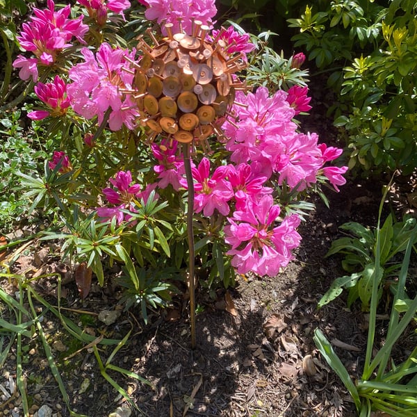 Exploding Copper Allium Flower Stake