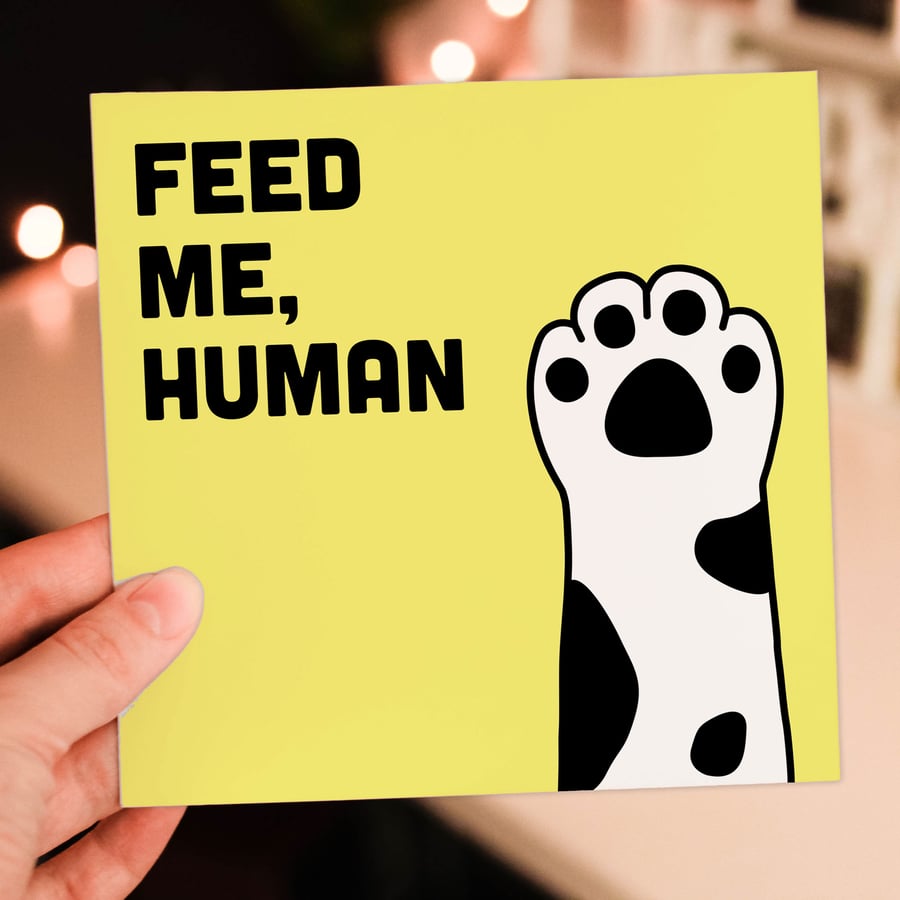 Cat, pet birthday card: Feed me, human