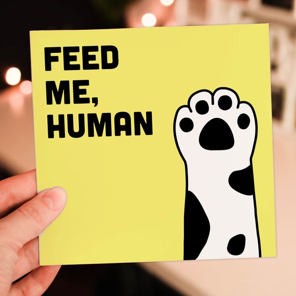 Cat, pet birthday card: Feed me, human