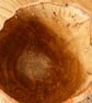 OAK BURR, DEEP BOWL, GREEN TURNED. - Image 5