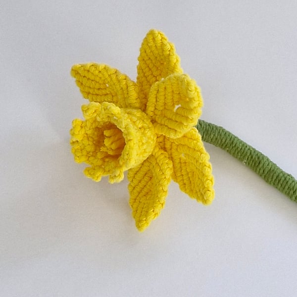 Macrame daffodil, spring flower, single stem daffodil