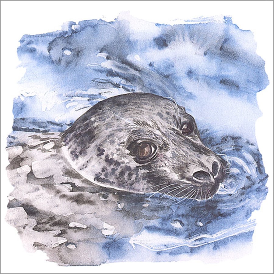 Square Greetings Card  "Silvie the Seal"