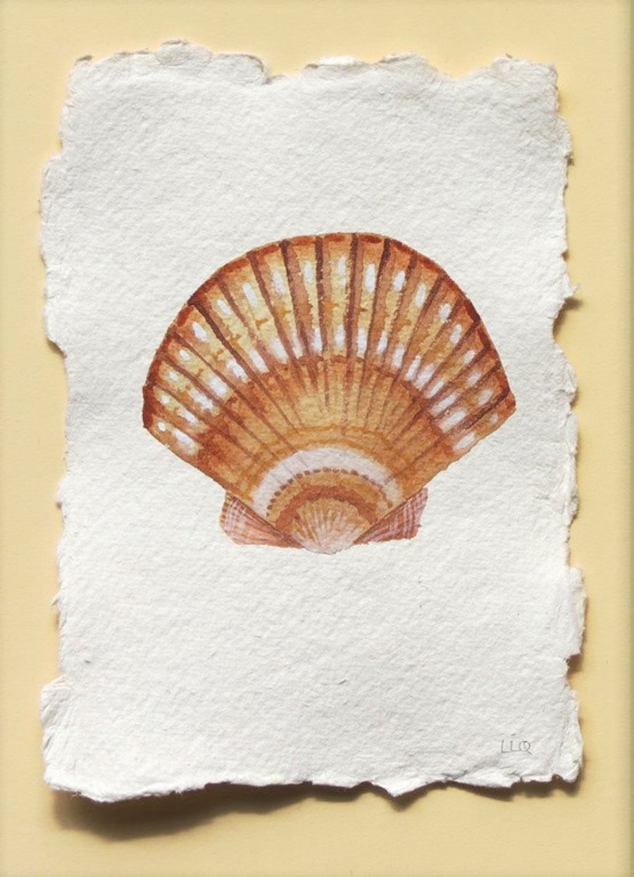 Scallop sea shell watercolour illustration painting