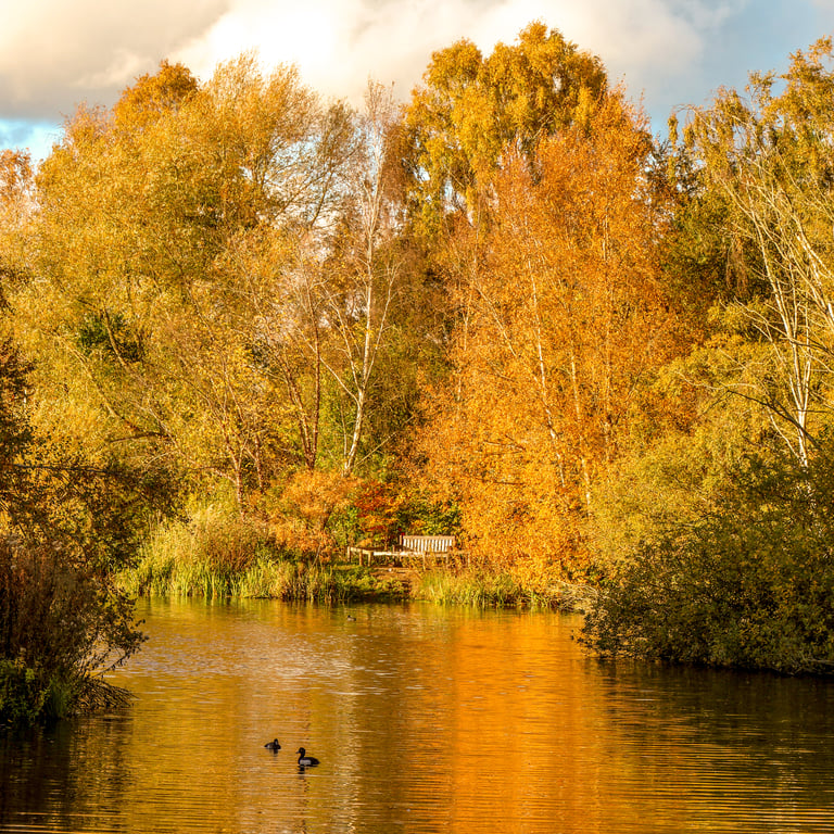 Photographic Greetings Card featuring Scenic Autumnal Views of the lakes.