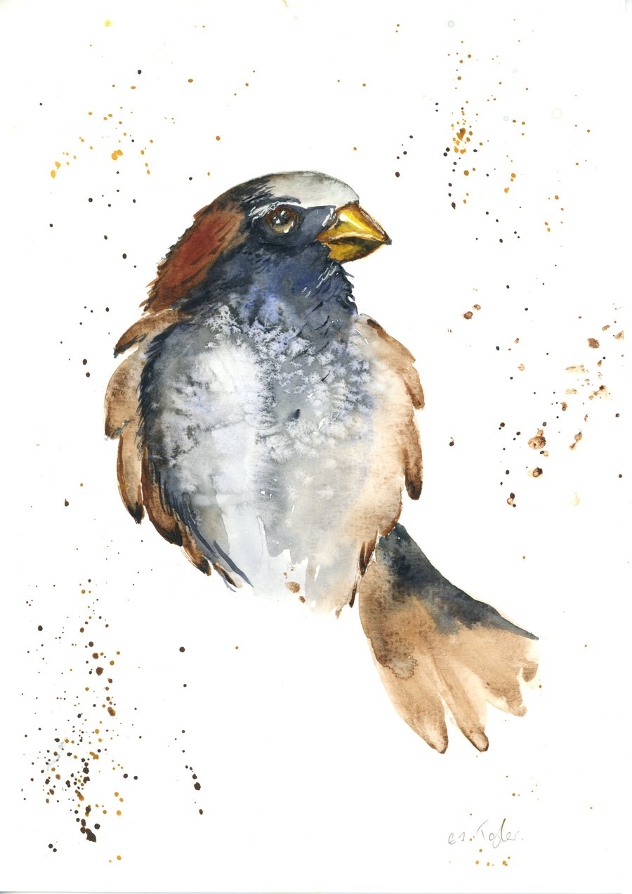 Sparrow Watercolour- Limited Edition Print