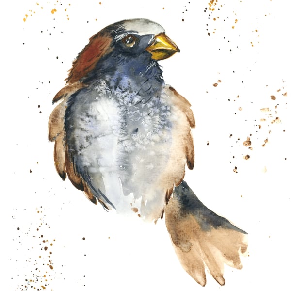 Sparrow Watercolour- Limited Edition Print