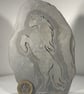Rearing Horse engraved in Devonian Mudstone