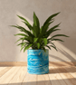 Custom Listing of a 19cm Blue Marbled Plant Pot With Drainage 