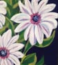 'African Daisy' original painting.   - Image 5