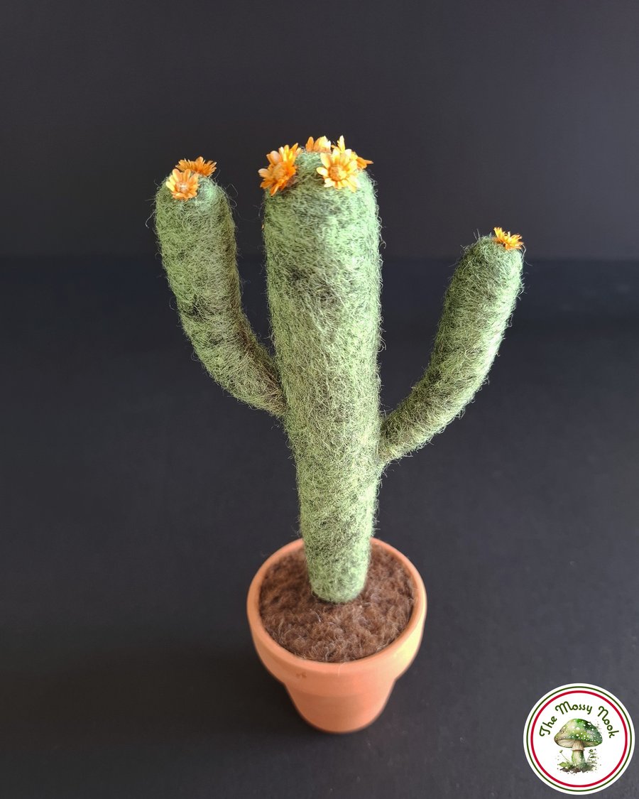 Desert Cactus. Needle Felted with Wool Fibres. Peach Flowers. Real Pot. 