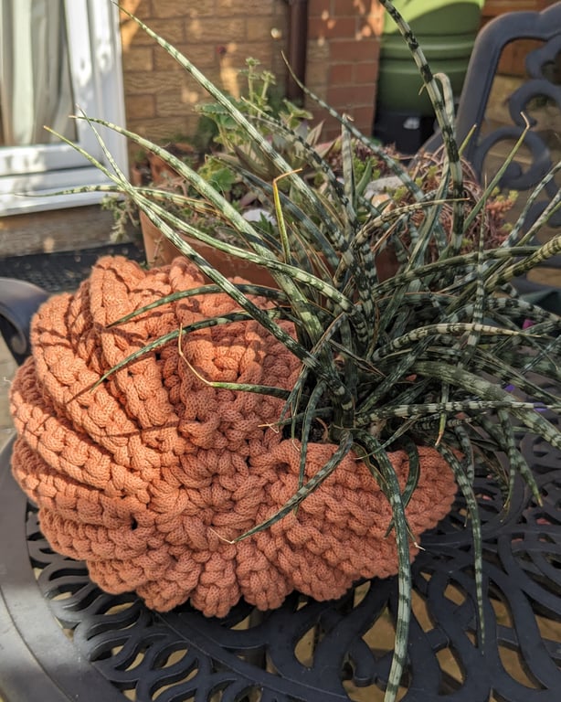 Ammonite basket, crochet shell, home decor, plant holder, nautilus, fossil