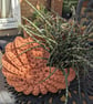 Ammonite basket, crochet shell, home decor, plant holder, nautilus, fossil - Image 1