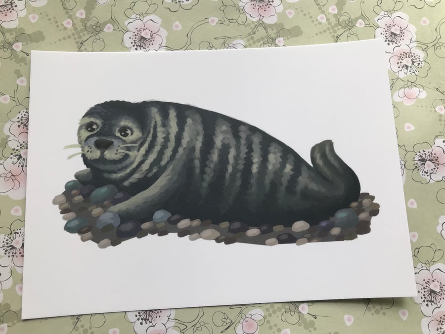 Grey Seal Post Card