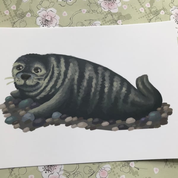 Grey Seal Post Card