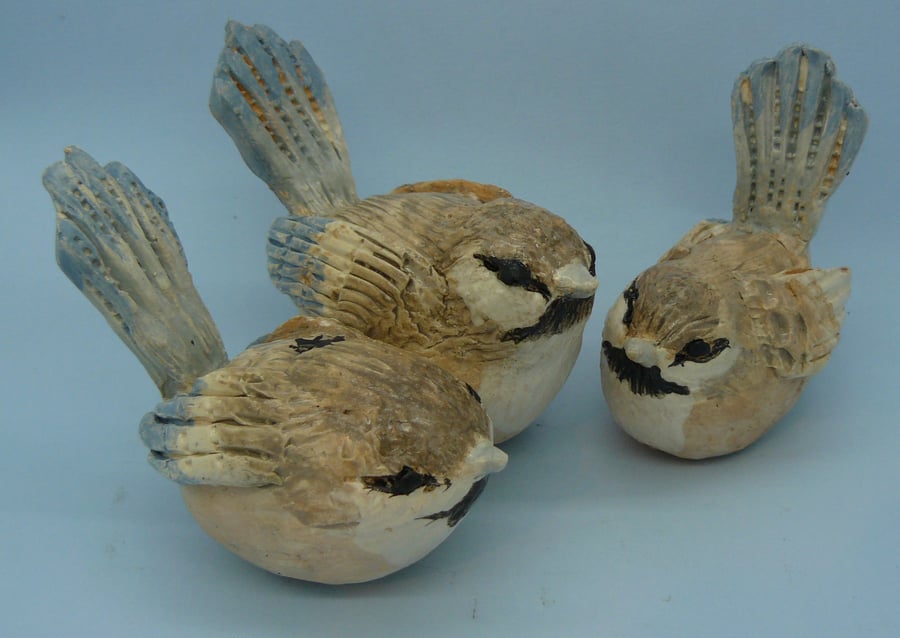 Clay Wren bird
