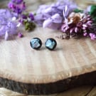 Blue Abalone Shell Resin Stainless Steel Stud Earrings