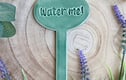 Plant Markers