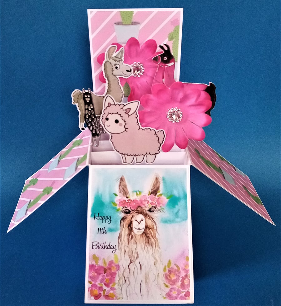 Girls 11th Birthday Card with Llamas 