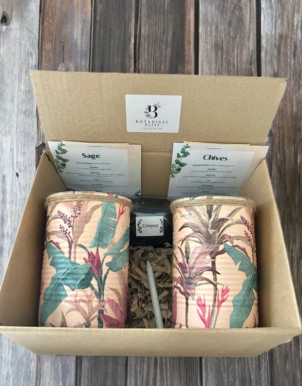 Vintage palm leaf grow your own herb garden gift set 