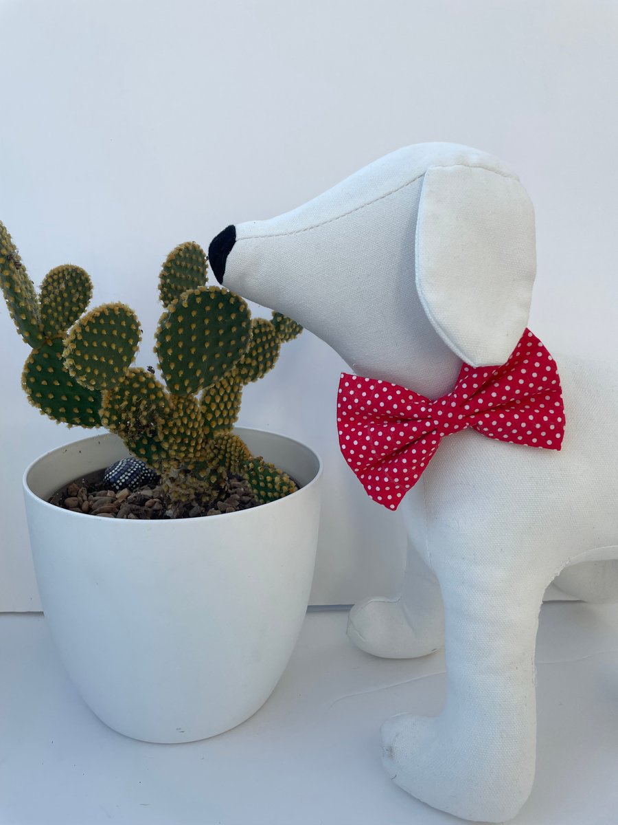  Bright Red & White Spot Dog Bow Tie 