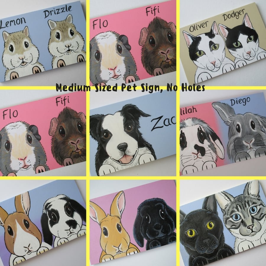 Personalised Pet Sign customised for rabbits guinea pigs cats dogs M NO HOLES