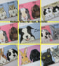 Personalised Pet Sign customised for rabbits guinea pigs cats dogs M NO HOLES - Image 1