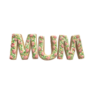 Floral MUM Cookie Set — Handmade Decorated Biscuits — Gift for Mum