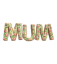 Floral MUM Cookie Set — Handmade Decorated Biscuits — Gift for Mum