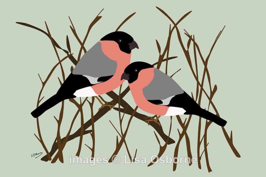 Bullfinches - print of garden birds