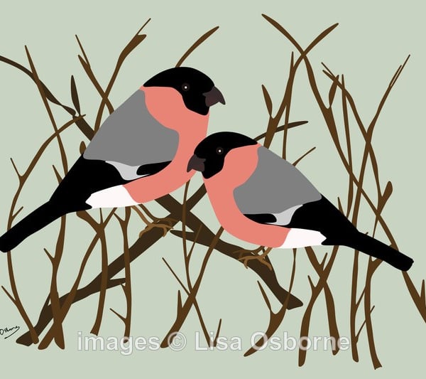 Bullfinches - print of garden birds