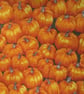 Pumpkin Fabric - Image 1