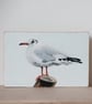 Black-headed gull - original acrylic painting - Image 2