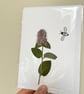 Real Pressed Flower, Wildflower Handmade Greeting Card - Image 2