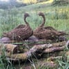 Swan, woven willow, bird, creatures, wicker, natural, environment, gardens, home