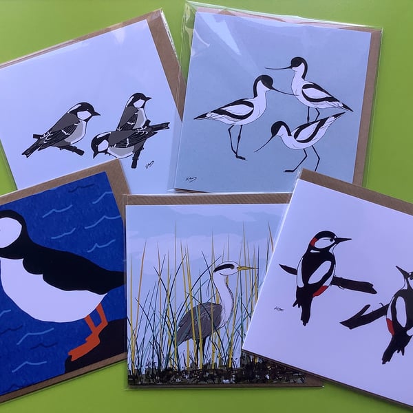 Pack of 5 greetings cards - blank inside - Birds