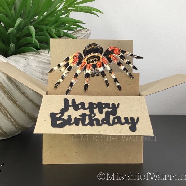 Tarantula Happy Birthday Box Card. Spider 3D gift card holder.