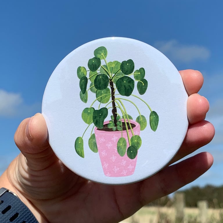 Pocket Mirror Chinese Money Plant 