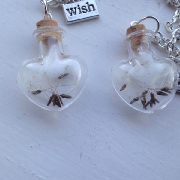 Dandelion Wishes Glass Heart Necklace