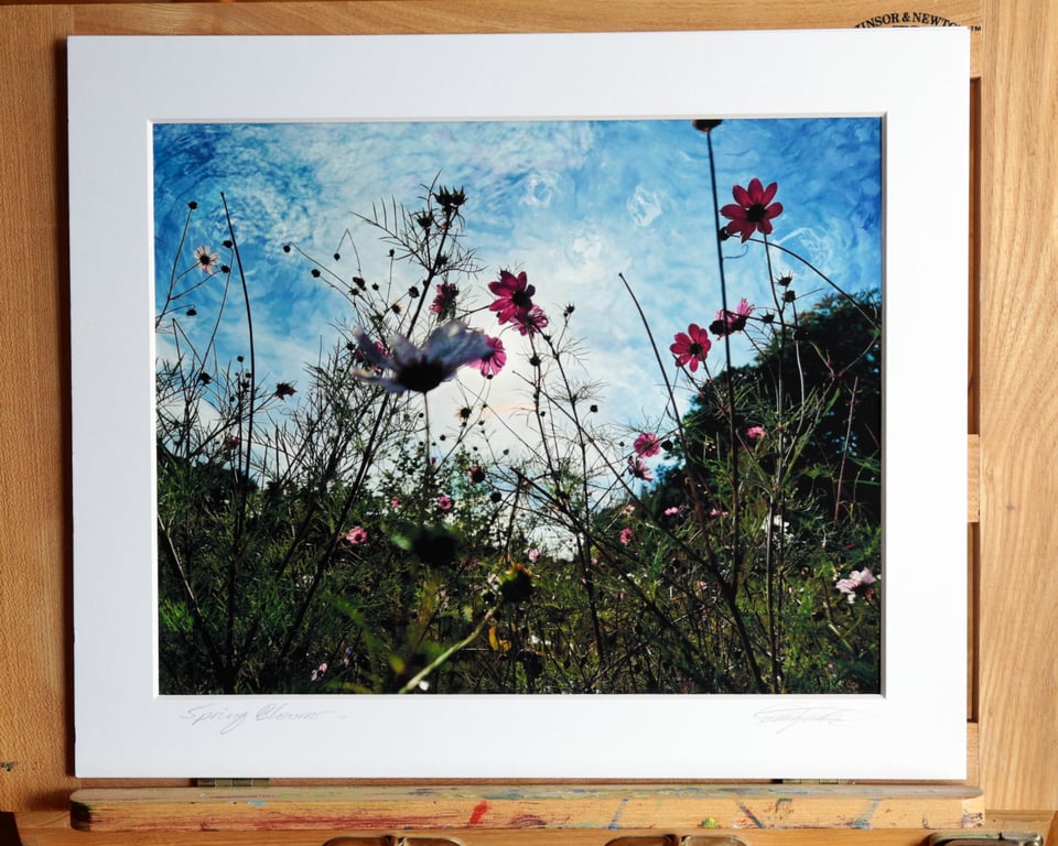 Spring Blooms Archival Photo Print 8 x 10inch in 10 x 12 mount